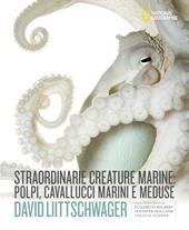 Straordinarie creature marine: polpi, cavallucci marini e meduse. Ediz. a colori