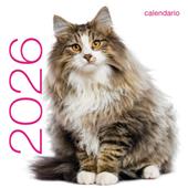 Gatti. Calendario da muro 2026