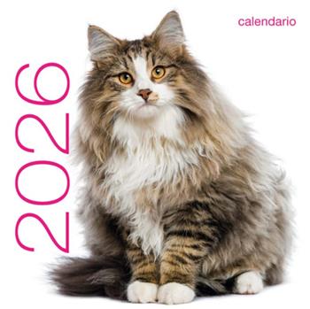 Gatti. Calendario da muro 2026  - Libro White Star 2025 | Libraccio.it