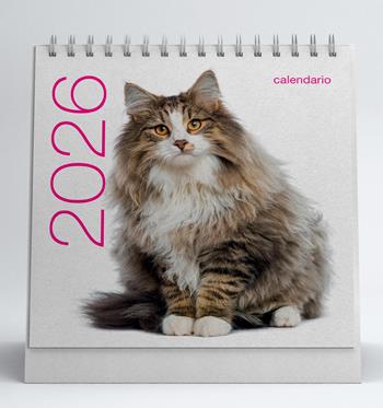 Gatti. Calendario da tavolo 2026  - Libro White Star 2025 | Libraccio.it