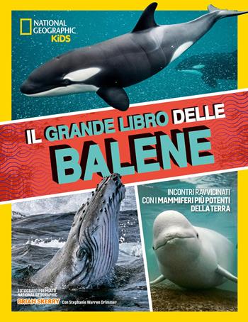 Il grande libro delle balene - Brian Skerry, Stephanie Warren Drimmer - Libro White Star 2026, Illustrati | Libraccio.it