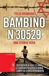 Bambino n°30529