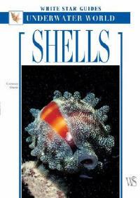 Shells  - Libro White Star 2009, Le guide White Star | Libraccio.it