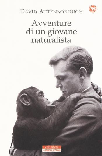 Avventure di un giovane naturalista - David Attenborough - Libro Neri Pozza 2020, Il cammello battriano | Libraccio.it