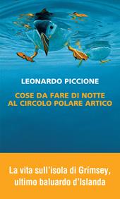 Cose da fare di notte al circolo polare artico
