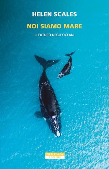 Noi siamo mare. Il futuro degli oceani - Helen Scales - Libro Neri Pozza 2026, I colibrì | Libraccio.it