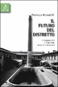 Il futuro del distretto. Atteggiamenti e strategie degli attori locali - Pierluca Birindelli - Libro Aracne 2010 | Libraccio.it