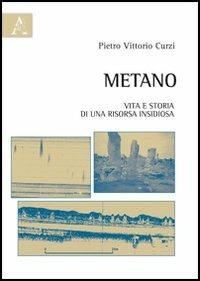 Metano. Vita e storia di una risorsa insidiosa - Pietro V. Curzi - Libro Aracne 2013 | Libraccio.it