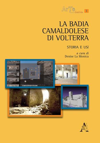 La Badia Camaldolese di Volterra. Storia e usi - Denise La Monica - Libro Aracne 2014, ArTeSalVa | Libraccio.it