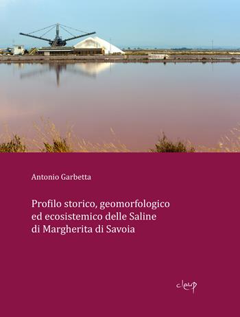 Profilo storico, geomorfologico ed ecosistemico delle Saline di Margherita di Savoia - Antonio Garbetta - Libro CLEUP 2020 | Libraccio.it