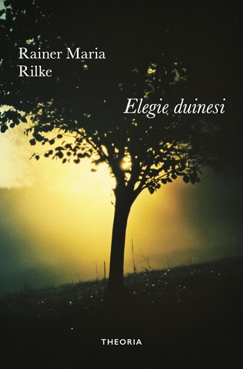 Elegie duinesi - Rainer Maria Rilke - Libro Edizioni Theoria 2025 | Libraccio.it