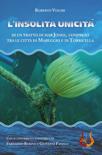 L'insolita unicità di un tratto di Mar Jonio, compreso tra le città di Maruggio e di Torricella. Con Cassetta audio - Roberto Voluri - Libro NeP edizioni 2022 | Libraccio.it