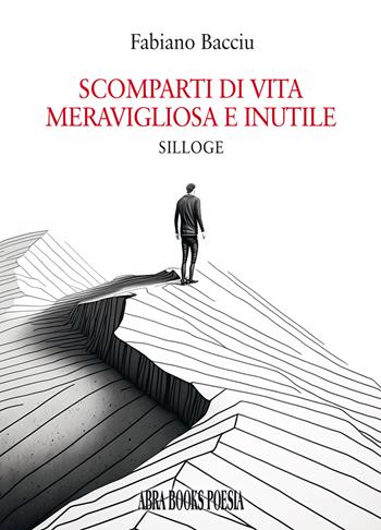 Scomparti di vita meravigliosa e inutile - Fabiano Bacciu - Libro Abrabooks 2023 | Libraccio.it