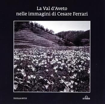 La Val d'Aveto nelle immagini di Cesare Ferrari. Ediz. illustrata  - Libro De Ferrari 2021, Imago | Libraccio.it