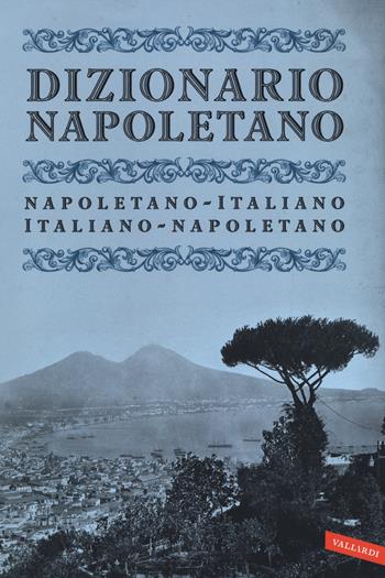 Dizionario napoletano. Nuova ediz.  - Libro Vallardi A. 2019, Dizionari | Libraccio.it
