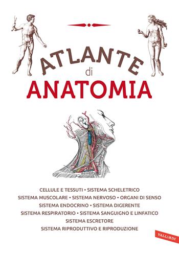 Atlante di anatomia  - Libro Vallardi A. 2021 | Libraccio.it
