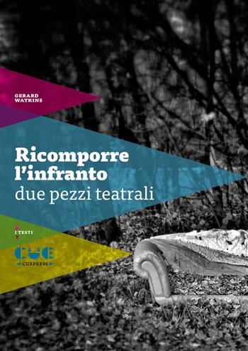 Ricomporre l'infranto. Due pezzi teatrali: Non mi ricordo più tanto bene-Scene di violenza coniugale - Gerard Watkins - Libro Cue Press 2019, I testi | Libraccio.it