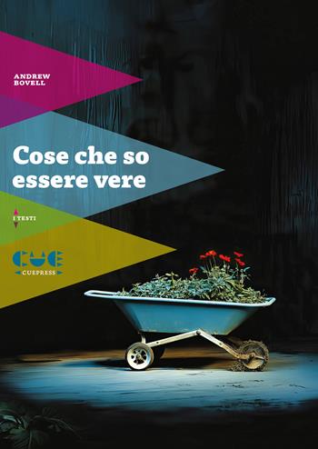 Cose che so essere vere - Andrew Bovell - Libro Cue Press 2024, I testi | Libraccio.it