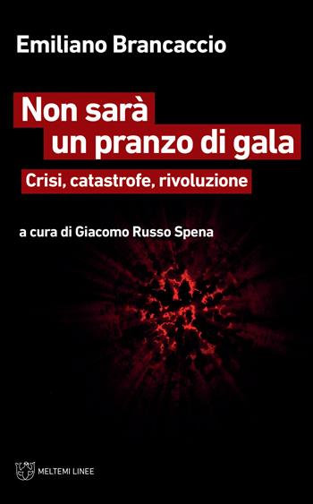 Non sarà un pranzo di gala. Crisi, catastrofe, rivoluzione - Emiliano Brancaccio - Libro Meltemi 2020, Linee | Libraccio.it