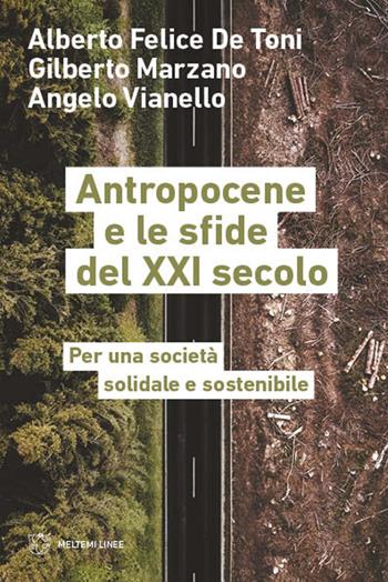 Antropocene e le sfide del XXI secolo. Per una società solidale e sostenibile - Alberto Felice De Toni, Gilberto Marzano, Angelo Vianello - Libro Meltemi 2022, Linee | Libraccio.it