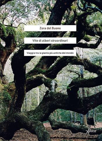 Vite di alberi straordinari. Viaggio tra le piante più antiche del mondo - Zora Del Buono - Libro Aboca Edizioni 2020 | Libraccio.it