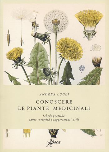 Conoscere le piante medicinali. Schede pratiche, tante curiosità e suggerimenti utili - Andrea Lugli - Libro Aboca Edizioni 2021 | Libraccio.it
