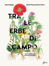 Tra le erbe di campo. Una passeggiata ricca di sorprese
