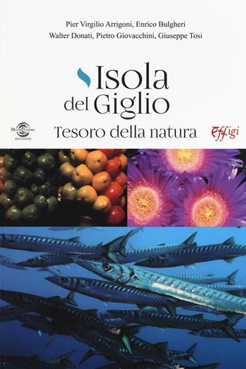Isola del Giglio. Tesoro della natura - Pier Virgilio Arrigoni, Enrico Bulgheri, Valter Donati - Libro C&P Adver Effigi 2019, Microcosmi | Libraccio.it