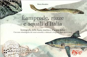 Lamprede, razze e squali d'Italia. Iconografia della fauna marina e d'acqua dolce - Mario Morellini - Libro C&P Adver Effigi 2023 | Libraccio.it