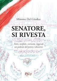 Senatore, si rivesta. Fatti, misfatti, curiosità, leggende nei palazzi del potere e dintorni - Mimmo Del Giudice - Libro C&P Adver Effigi 2023 | Libraccio.it