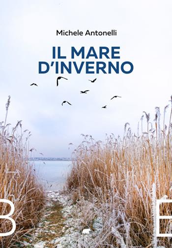 Il mare d'inverno - Michele Antonelli - Libro Bertoni 2021 | Libraccio.it