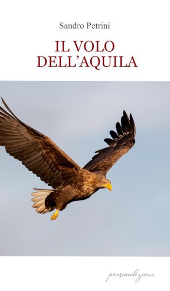 Il volo dell'aquila - Sandro Petrini - Libro Bertoni 2021 | Libraccio.it