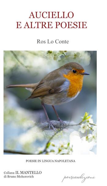 Auciello e altre poesie - Ros Lo Conte - Libro Bertoni 2021, Il mantello | Libraccio.it