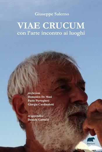 Viae Crucum. Con l’arte incontro ai luoghi - Giuseppe Salerno - Libro Bertoni 2023 | Libraccio.it