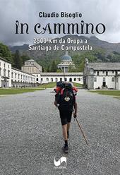 In cammino. 2500 Km da Oropa a Santiago de Compostela