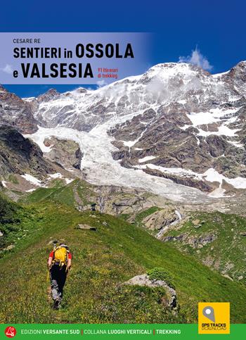 Sentieri in Ossola e Valsesia. 91 itinerari di trekking - Cesare Re - Libro Versante Sud 2024, Luoghi verticali | Libraccio.it