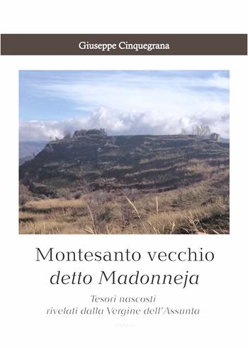 Montesanto vecchio detto Madonneja. Tesori nascosti rivelati dalla Vergine dell’Assunta - Giuseppe Cinquegrana - Libro Libritalia.net 2024 | Libraccio.it