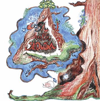 Cosa c'è nella sequoia? Ediz. illustrata - Anna Guzzi - Libro Temperino Rosso 2023, Il bocciolo | Libraccio.it