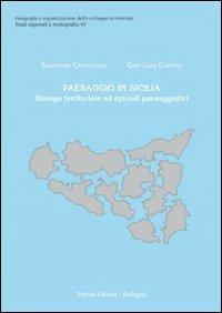 Paesaggio in Sicilia. Dialogo territoriale ed episodi paesaggistici - Salvatore Cannizzaro, Gian Luigi Corinto - Libro Pàtron 2013, Studi regionali e monografici | Libraccio.it