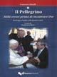 Il pellegrino. Mille errori prima di incontrare Dio. Da Perugia a Lourdes: 1.500 chilometri a piedi - Francesco Minelli - Libro Guerra Edizioni 2008 | Libraccio.it