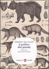 Il pollice del panda. Riflessioni sulla storia naturale - Stephen Jay Gould - Libro Il Saggiatore 2009, Saggi. Tascabili | Libraccio.it