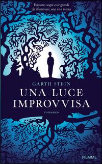 Una luce improvvisa - Garth Stein - Libro Piemme 2015 | Libraccio.it