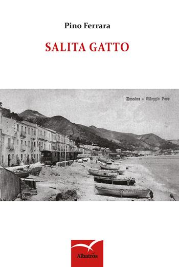 Salita gatto - Pino Ferrara - Libro Gruppo Albatros Il Filo 2017, Nuove voci. Terre | Libraccio.it