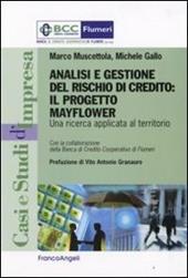 Analisi e gestione del rischio di credito. Il progetto Mayflower. Una ricerca applicata al territorio