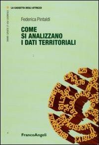 Come si analizzano i dati territoriali - Federica Pintaldi - Libro Franco Angeli 2009, La cassetta degli attrezzi | Libraccio.it