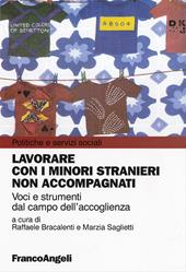 Lavorare con i minori stranieri non accompagnati. Voci e strumenti dal campo dell'accoglienza