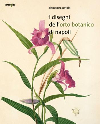 I disegni dell'orto botanico di Napoli. Ediz. illustrata - Domenico Natale - Libro artem 2016, Storia e civiltà | Libraccio.it