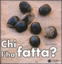 Chi l'ha fatta? Ediz. illustrata - Stéphane Frattini - Libro Franco Cosimo Panini 2010, Apri gli occhi | Libraccio.it