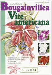 Coltivare bouganvillea e vite americana