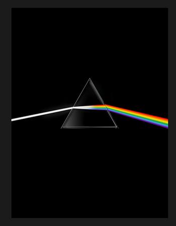 Pink Floyd. Their mortal remains. Ediz. a colori  - Libro Skira 2017, Musica e spettacolo | Libraccio.it
